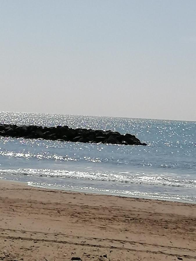 Studio Cabine Valras Plage 300M De La Mer Esterno foto